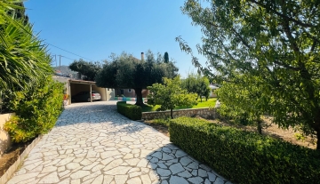 garden 5.jpg